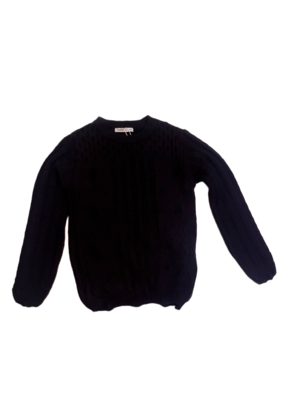 IMG_1328(1) Pull en Maille Torsadée